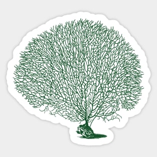 Green Sea Fan Coral Sticker